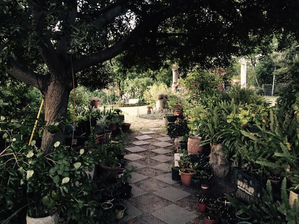 Helderbos Country House Съмърсет Уест Екстериор снимка